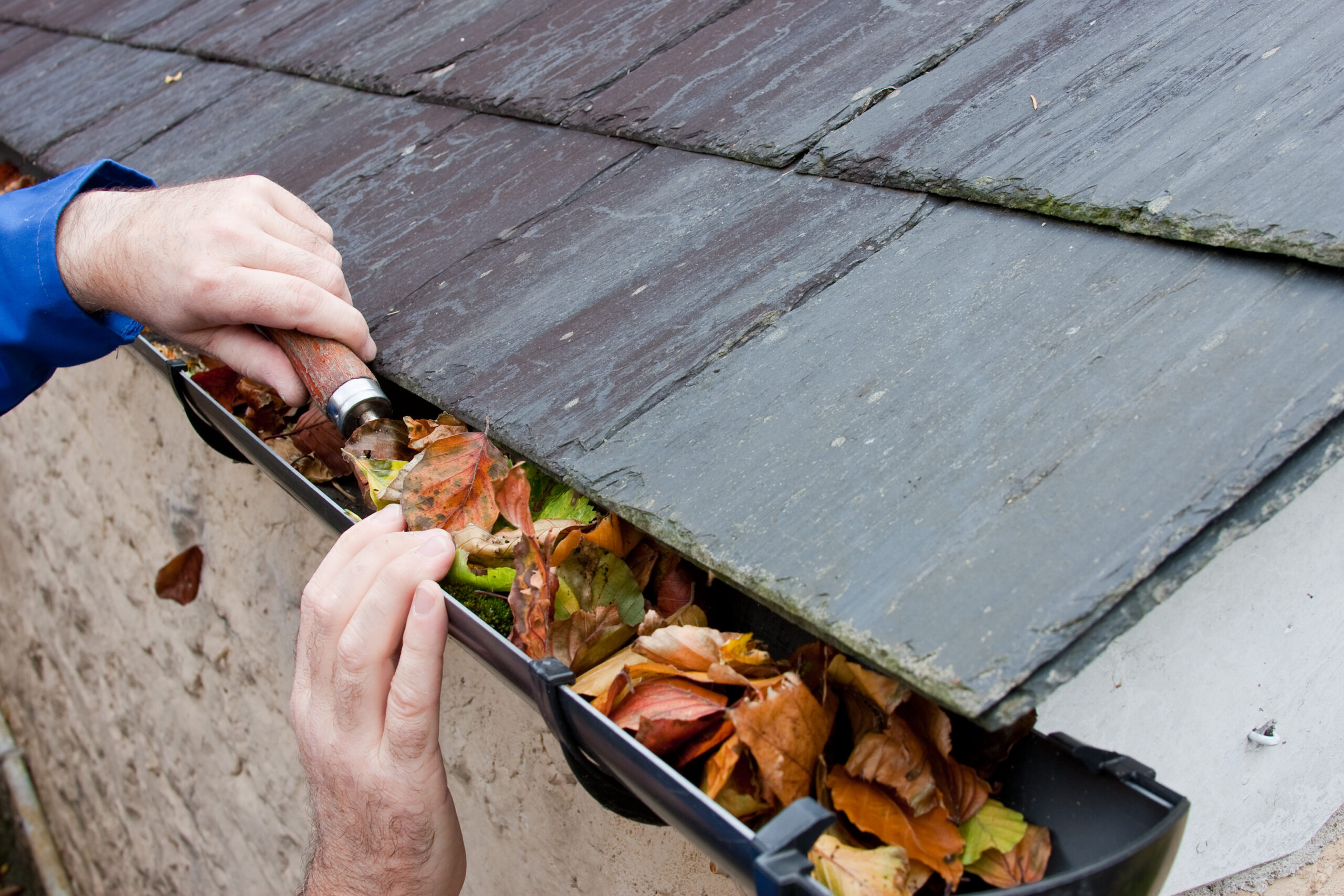 gutter cleaning minnesota